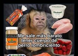 Enlace a La comida sana es cara, amigo