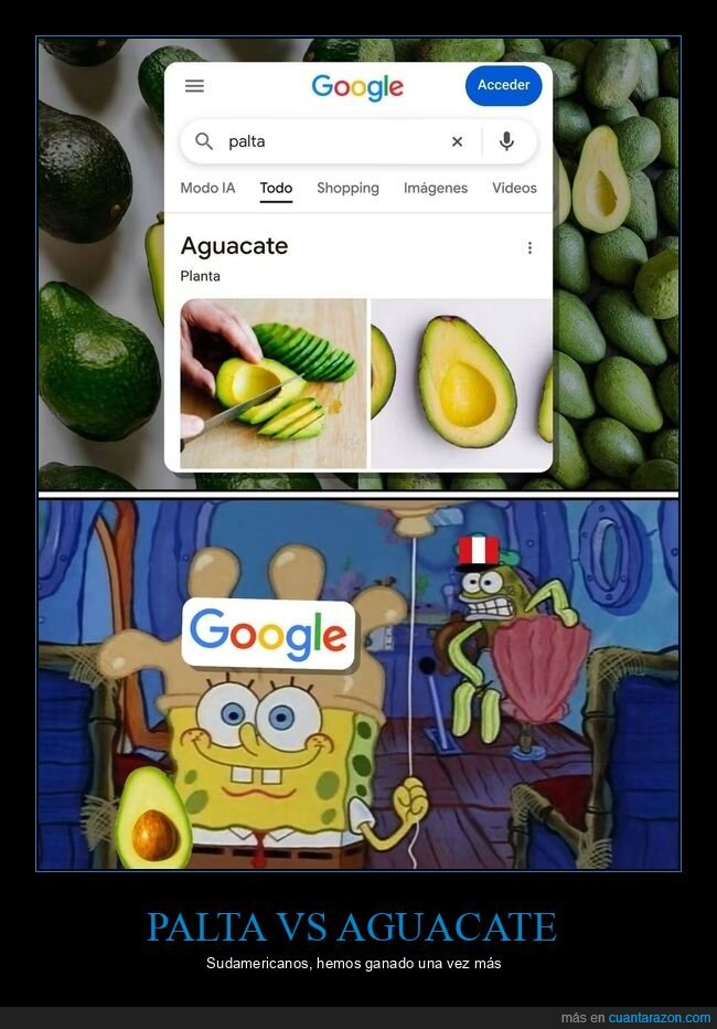 aguacate,palta,Google,debate,decisi&oacute;n