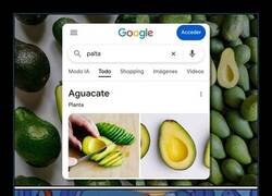 Enlace a Google zanjó el drama del aguacate y da la razón a España