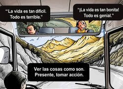Enlace a El conductor se habrá visto tela de memes