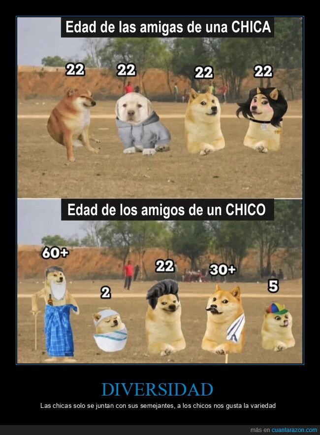 amistad,edad,grupo,diferencias,perros