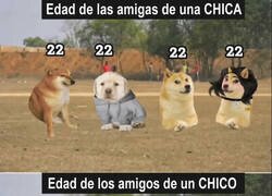 Enlace a Cuando el grupo se dispersa en el multiverso