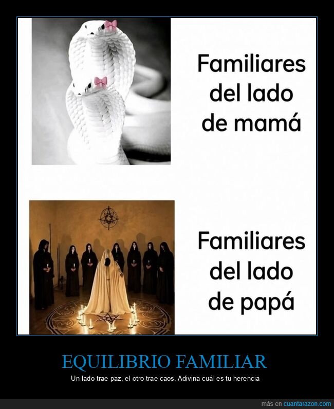 familia,herencia,caos,din&aacute;micas,contraste