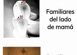 Enlace a La genética es un sorteo donde todos pierden