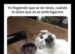 Enlace a Pretendiendo apreciar vinos como un borracho de verdad