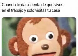 Enlace a Vivo en la oficina