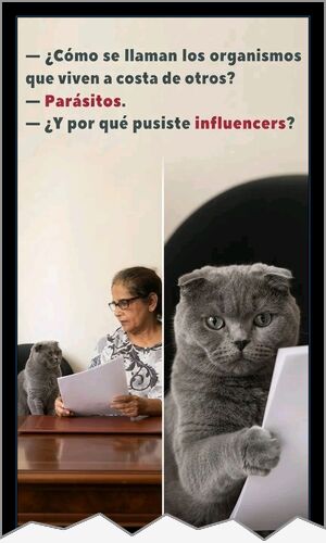 Mejor cartel de ayer