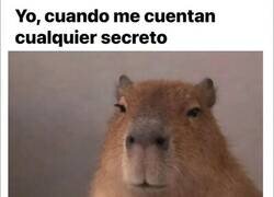 Enlace a Discreto de palabra, megáfono de acción
