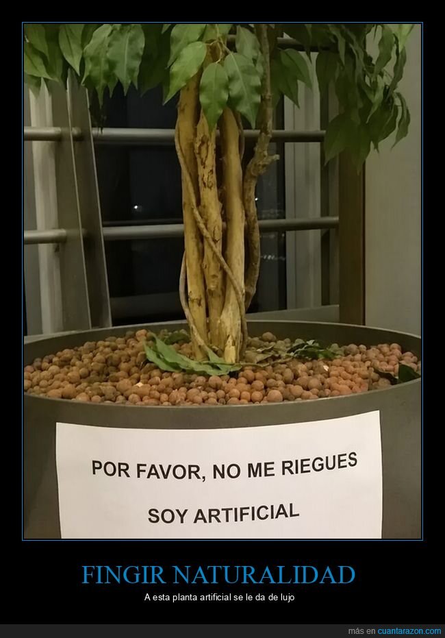 planta,artificial,fracaso,negligencia,iron&iacute;a