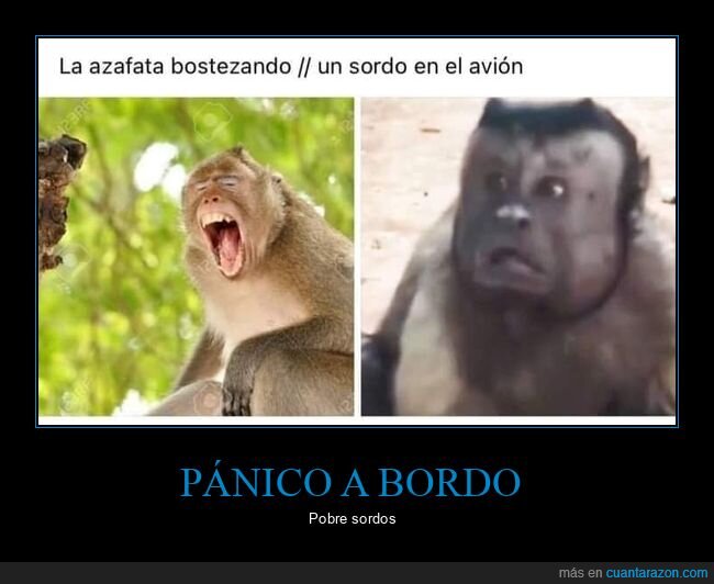 avi&oacute;n,azafata,viaje,turbulencia,caos