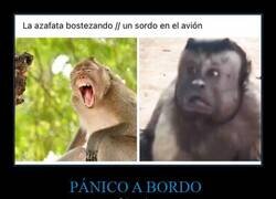 Enlace a Los sordos desmayados