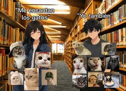 Enlace a No hay mejor animal para un meme