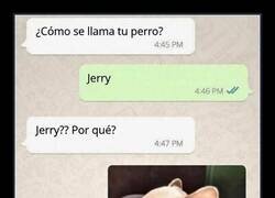 Enlace a Jerry tiene más carisma que tú