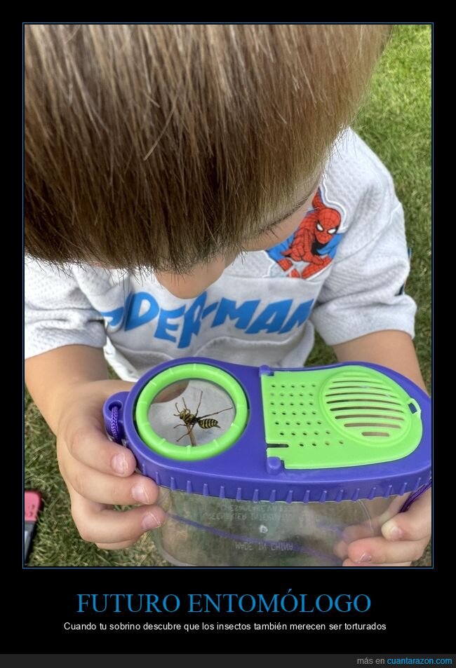 sobrino,insectos,infancia,psicopat&iacute;a,diversi&oacute;n