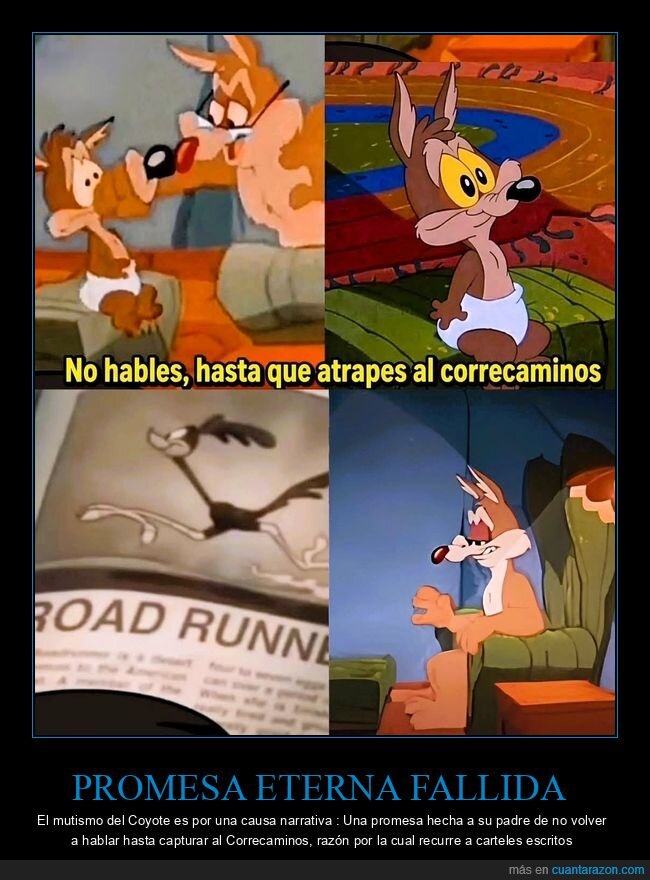 Coyote,obsesi&oacute;n,fracaso,persecuci&oacute;n,Looney Tunes