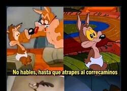 Enlace a Lleva 70 años sin hablar y el correcaminos sigue ganando