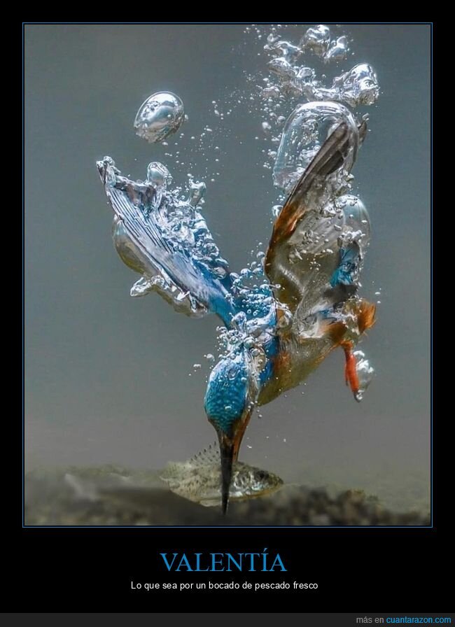 naturaleza,fracaso,agua,intento,realidad