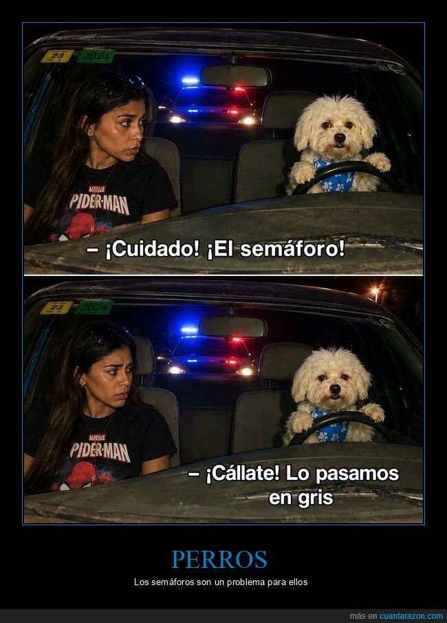 control,obediencia,patrulla,perro,jerarqu&iacute;a