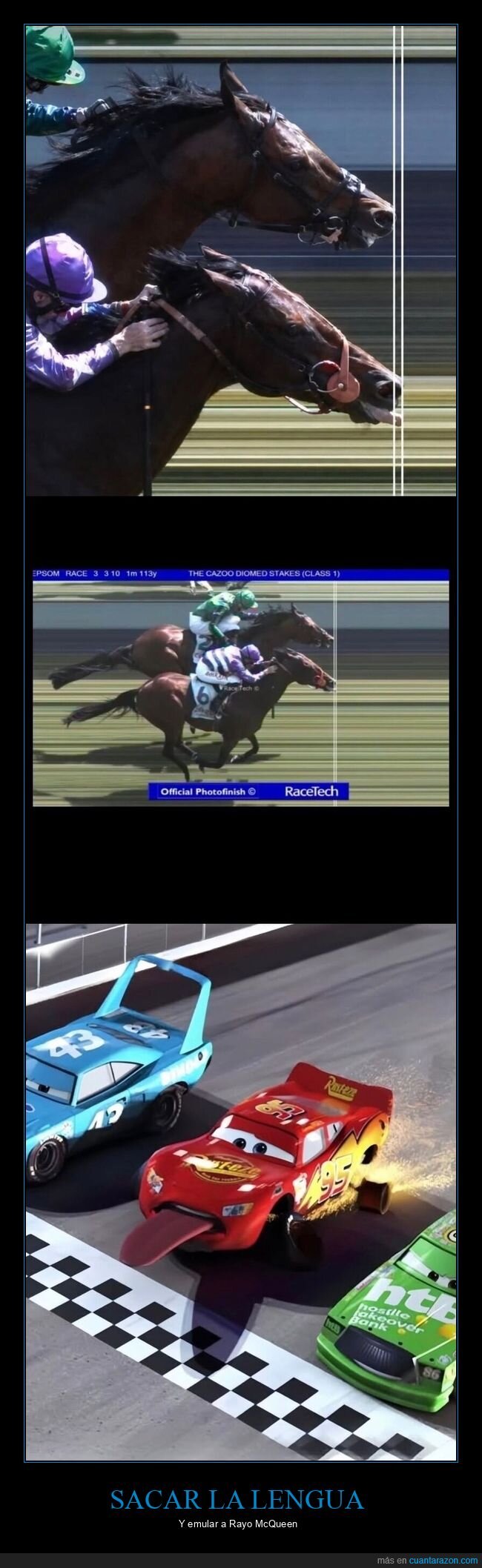 caballos,carreras,&eacute;pico,fracaso,equitaci&oacute;n