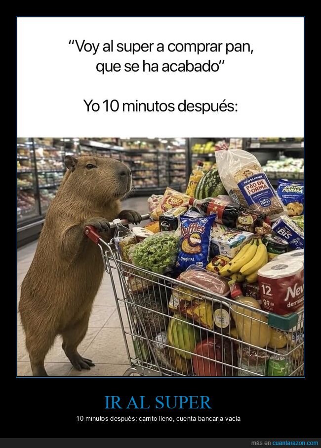 supermercado,compra,impulso,carrito,capibara