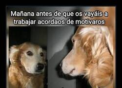 Enlace a Pobre, toca currar