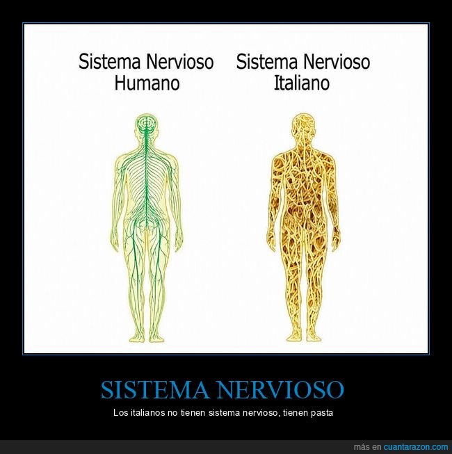 italiano,nervios,anatom&iacute;a,estereotipos,gestos