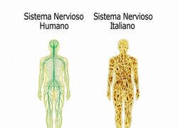 Enlace a Sistema nervioso italiano