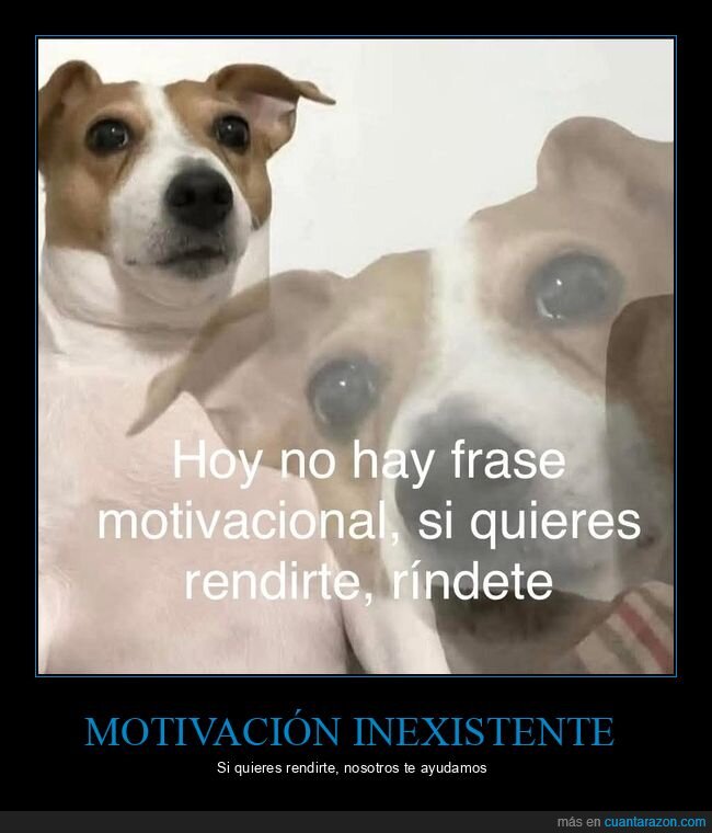 perros,desmotivaci&oacute;n,rendici&oacute;n,fracaso,lunes