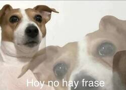 Enlace a Hoy no hay ni ganas