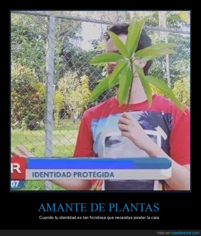plantas,vecino,jardiner&iacute;a,identidad,naturaleza