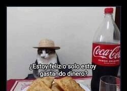 Enlace a ¿Estoy viviendo o solo quemando billetes?