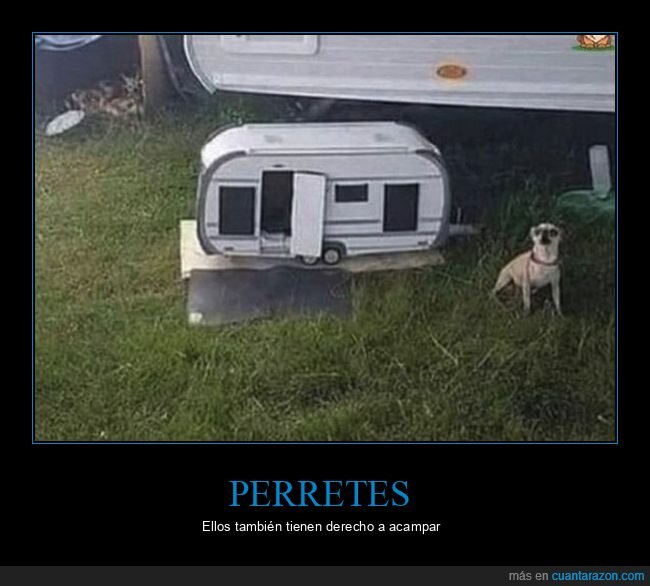 caravana,camping,perro,naturaleza,absurdo