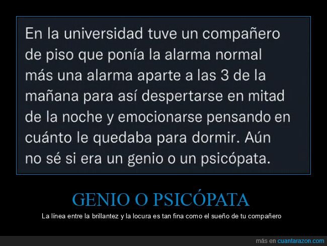compa&ntilde;ero,alarma,insomnio,universidad,absurdo