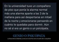Enlace a Despertarse a las 3am para celebrar que quedan 5 horas más