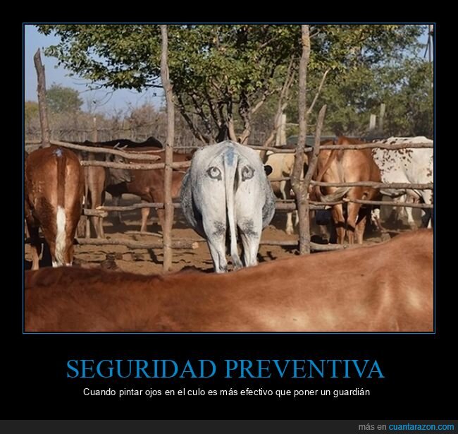 Botswana,ganader&iacute;a,depredadores,supervivencia,ingenio