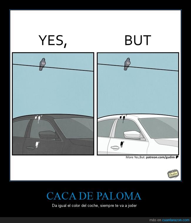 p&aacute;jaros,coche,mala suerte,diferencia,blanco