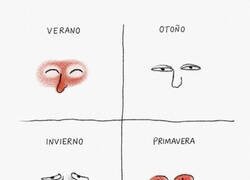 Enlace a Estaciones de la desgracia