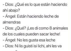Enlace a Y eso que todavía no sabe lo que es 