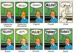 Enlace a Milú en distintos idiomas