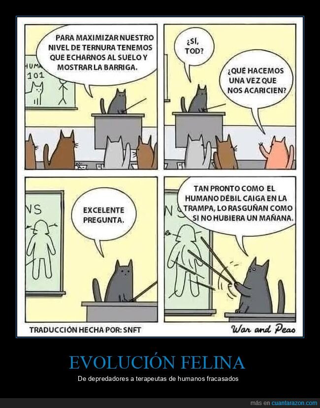 gatos,humanidad,trampa,depredaci&oacute;n,psicolog&iacute;a