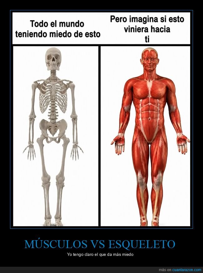 fitness,transformaci&oacute;n,m&uacute;sculo,dedicaci&oacute;n,contraste