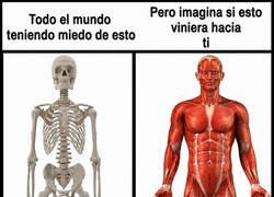 Enlace a El gym te hace terrorífico