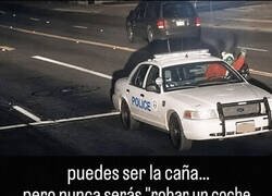 Enlace a Tu récord personal de estupidez acaba de caer