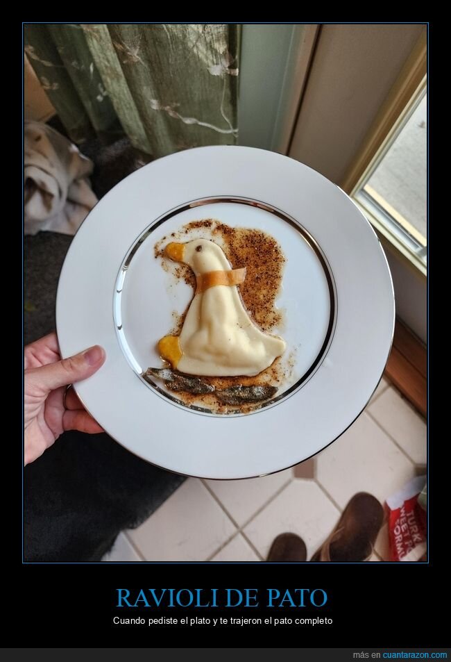 ravioli,cocina,expectativas,sorpresas,marido