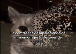 Enlace a Mi contraseña ya no existe