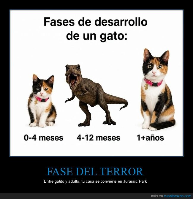 gato,desarrollo,dinosaurio,mascota,crecimiento