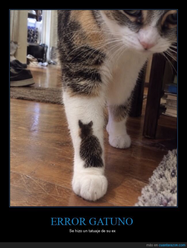 gato,pata,tatuaje
