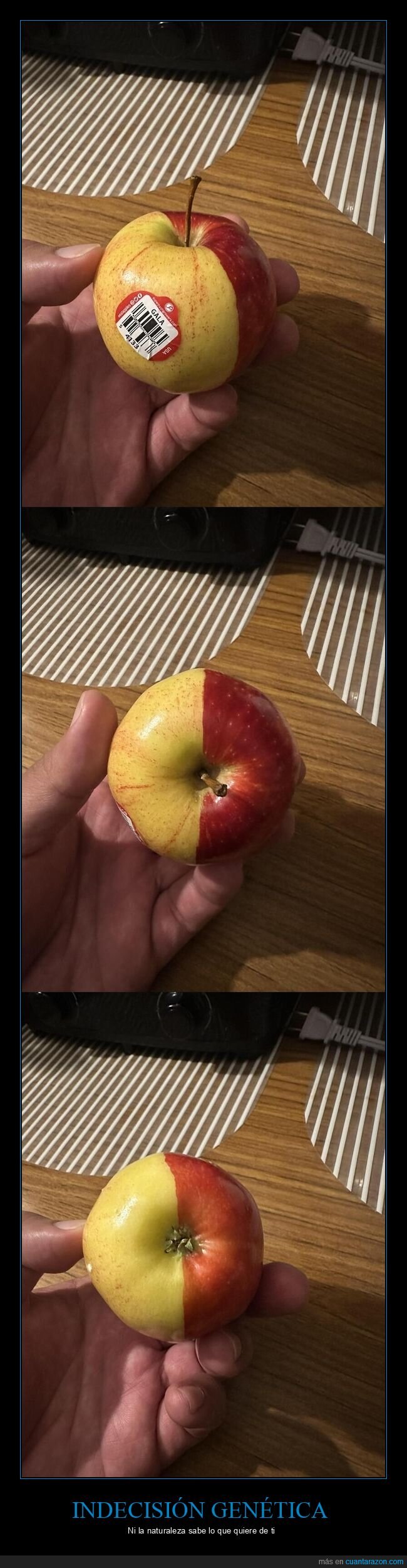 manzana,naturaleza,gen&eacute;tica,indecisi&oacute;n,fruta