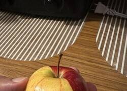 Enlace a OC: manzana de dos colores, mitad y mitad a lo largo