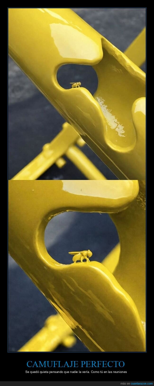 mosca,pintura,amarillo,camuflaje,metal